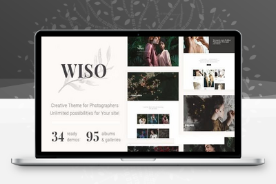 WISO WordPress主题下载与介绍_摄影作品集网站模板_极码客